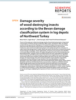 Damage Severity of Wood-Destroying Insects According to the Bevan