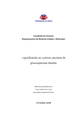 Lignificación En Cultivos Celulares De Gimnospermas Basales