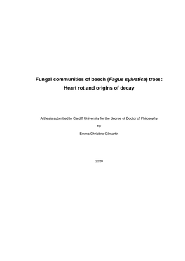 Fungal Communities of Beech (Fagus Sylvatica) Trees: Heart Rot and Origins of Decay