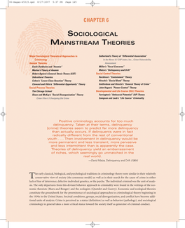 Chapter 6 Sociological Mainstream Theories