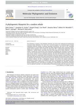 A Phylogenetic Blueprint for a Modern Whale ⇑ John Gatesy A, , Jonathan H