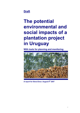 The Potential Environmental and Social Impacts of a Plantation Project in Uruguay