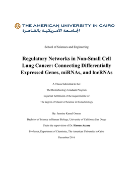 Connecting Differentially Expressed Genes, Mirnas, and Lncrnas