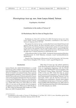 Pterotopteryx Taoa Sp. Nov. from Lanyu Island, Taiwan