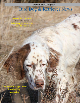 Pheasant Hunting Tips Grass, Brush, Cattails, Ditches by Scott W