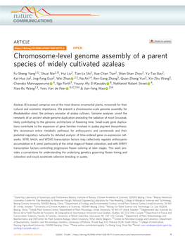 Chromosome-Level Genome Assembly of a Parent Species of Widely Cultivated Azaleas