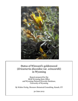 Ericameria Discoidea Var. Winwardii) in Wyoming