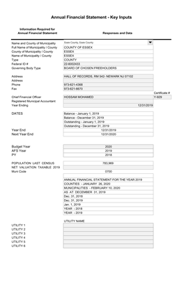 Annual Financial Statement - Key Inputs DLGS