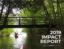 2019 Annual Impact Report