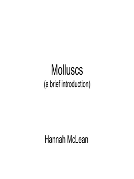 Molluscs (A Brief Introduction)