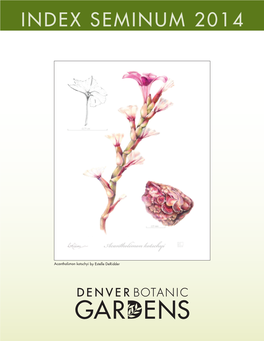 Denver Botanic Gardens Grows More Than 20 Taxa of Acantholimon, with a Majority Living in the Rock Alpine Garden