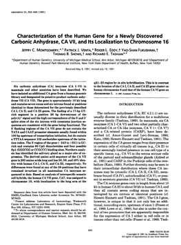 Characterization of the Human Gene for a Newly Discovered Carbonic Anhydrase, CA VII, and Its Localization to Chromosome 16