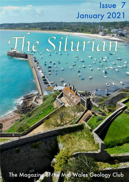 Issue 7 the Silurian January 2021 1