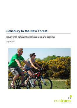 Salisbury to the New Forest