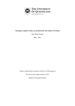 Strategies to Improve Dairy Cow Productivity and Welfare in Vietnam