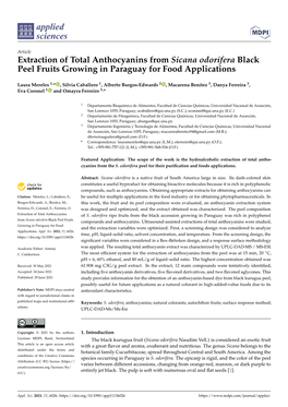 Extraction of Total Anthocyanins from Sicana Odorifera Black Peel Fruits Growing in Paraguay for Food Applications