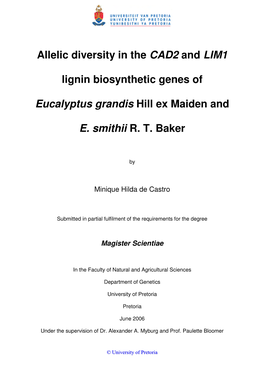 Allelic Diversity in the CAD2 and LIM1 Lignin Biosynthetic Genes Of