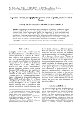 Aspicilia Uxoris, an Epiphytic Species from Algeria, Morocco and Spain