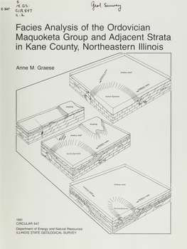 Facies Analysis of the Ordovician Maquoketa Group and Adjacent Strata in Kane County, Northeastern Illinois