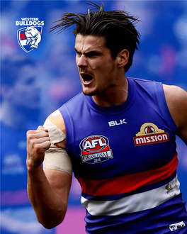 2017-Western-Bulldogs-Corporate