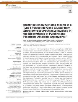 Identification by Genome Mining of a Type I Polyketide Gene Cluster From