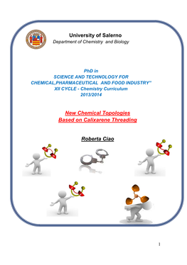 University of Salerno New Chemical Topologies Based on Calixarene