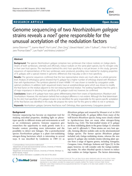 Genome Sequencing of Two Neorhizobium Galegae Strains Reveals a Noet Gene Responsible for the Unusual Acetylation of the Nodulat