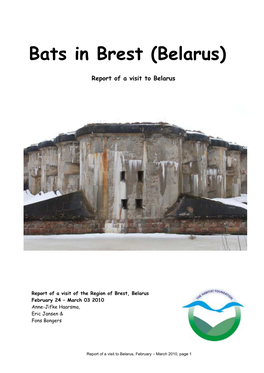 Bats in Brest (Belarus)