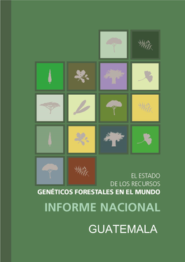 Guatemala: El Estado De Los Recursos Genéticos Forestales En El Mundo