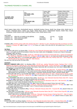 TAILORMADE PEDIGREE for CHANNEL (IRE)