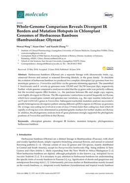 Whole-Genome Comparison Reveals Divergent IR Borders and Mutation Hotspots in Chloroplast Genomes of Herbaceous Bamboos (Bambusoideae: Olyreae)