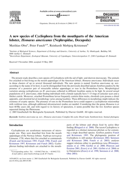 A New Species of Cycliophora from the Mouthparts of the American Lobster, Homarus Americanus