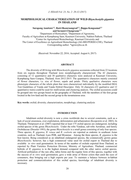 MORPHOLOGICAL CHARACTERIZATION of WILD Rhynchostylis Gigantea in THAILAND