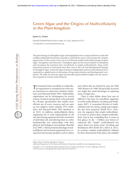 Green Algae and the Origins of Multicellularity in the Plant Kingdom