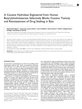 A Cocaine Hydrolase Engineered from Human Butyrylcholinesterase Selectively Blocks Cocaine Toxicity and Reinstatement of Drug Seeking in Rats