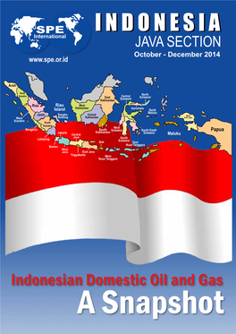 Indonesian Domestic Oil and Gas a Snapshot † Platform