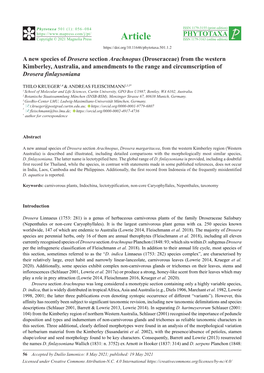 A New Species of Drosera Section Arachnopus (Droseraceae)