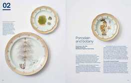 Porcelain and Botany