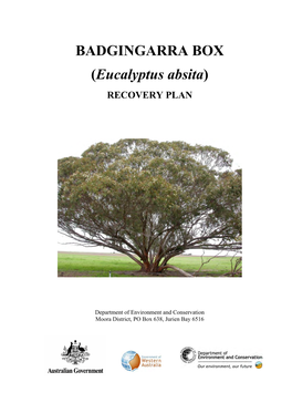 Eucalyptus Absita)