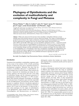 Phylogeny of Opisthokonta and the Evolution of Multicellularity and Complexity in Fungi and Metazoa