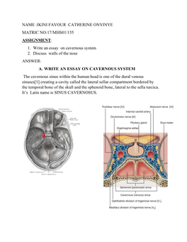 Name :Ikini Favour Catherine Onyinye Matric No:17/Mhs01/155 Assignment: 1