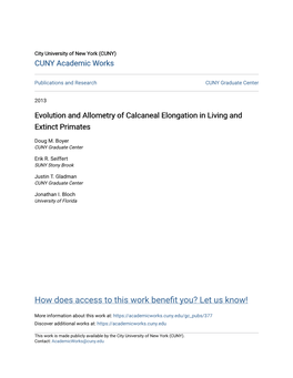 Evolution and Allometry of Calcaneal Elongation in Living and Extinct Primates