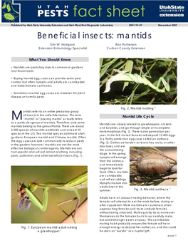 Beneficial Insects: Mantids Erin W