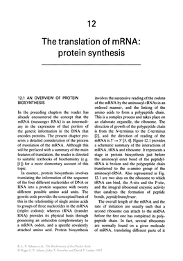 12 the Translation of Mrna: Protein Synthesis