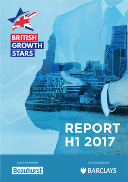 Report H1 2017