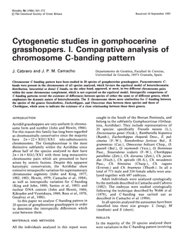 Cytogenetic Studies in Gomphocerine Grasshoppers. I. Comparative Analysis of Chromosome C-Banding Pattern