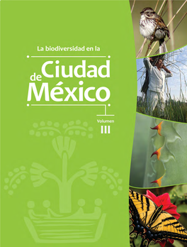 Mx-Study-Cuidad-De-Mexico-P3-Es.Pdf
