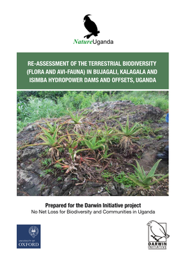 Re-Assessment of the Terrestrial Biodiversity (Flora and Avi-Fauna) in Bujagali, Kalagala and Isimba Hydropower Dams and Offsets, Uganda