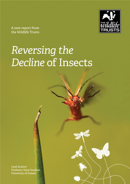 Reversing the Decline of Insects Report