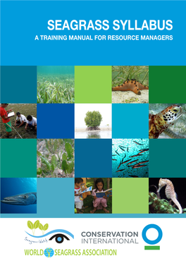 Seagrass Syllabus a Training Manual for Resource Managers